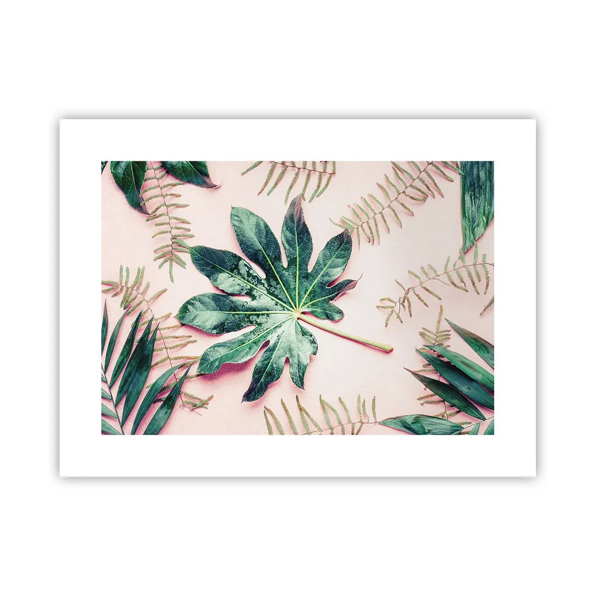 Plakat - Studium zieleni na różowym tle - 40x30 cm