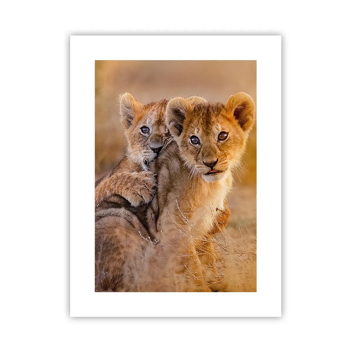 Plakat - Nie przeszkadzać! Bawimy się - 30x40 cm