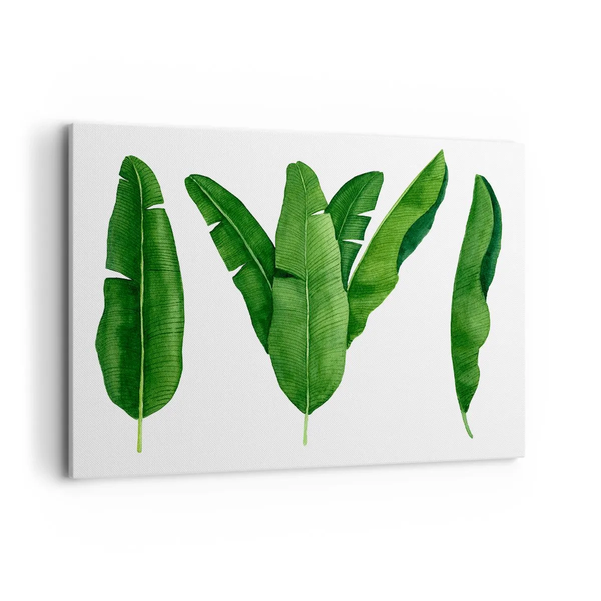 Obraz na płótnie - Trzy liście bananowca w artystycznym ujęciu - 120x80cm - Zielona symetria - Nowoczesna dekoracja ścienna do salonu, kuchni i sypialni ARTTOR