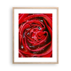 Plakat w ramie jasny dąb - W kroplach rosy - 40x50 cm