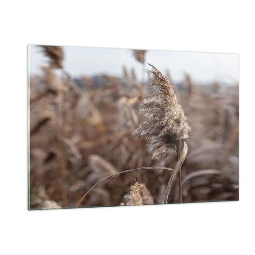 Obraz na szkle - Zbliżenie na suche trawy kołysane wiatrem - 120x80cm - Czas odlecieć z wiatrem - Nowoczesna dekoracja ścienna do salonu, kuchni i sypialni ARTTOR