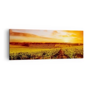 Obraz na płótnie - Winnica o zachodzie słońca z ciepłymi odcieniami nieba - 140x50cm - Delikatnie owocowe z nutą słońca - Nowoczesna dekoracja ścienna do salonu i sypialni ARTTOR