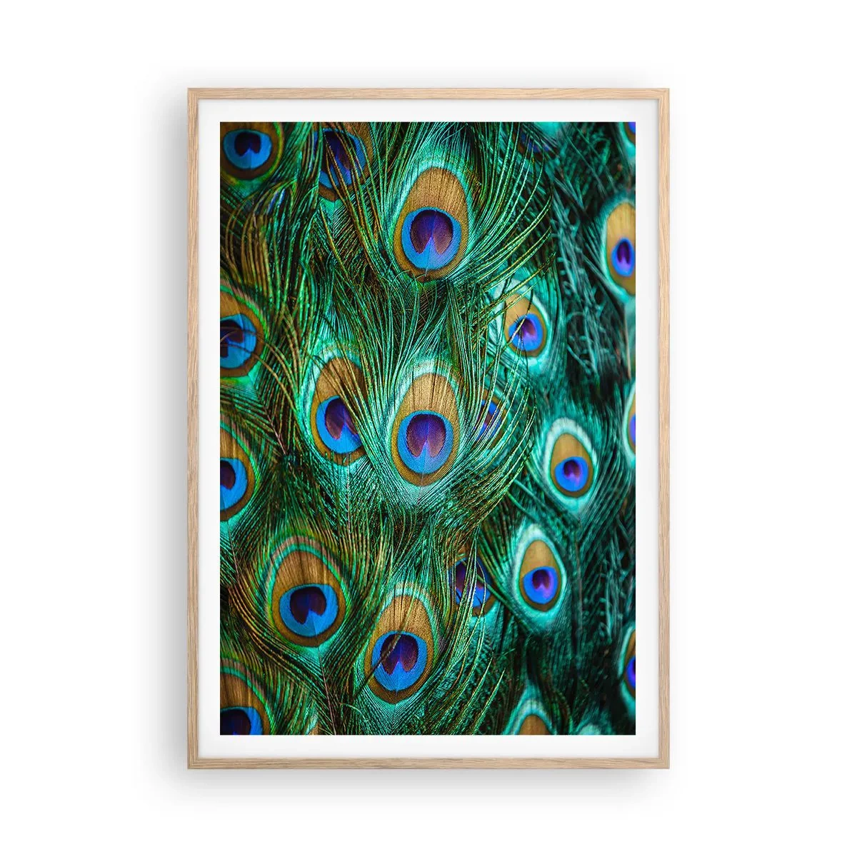 Plakat w ramie jasny dąb - Pawiookie spojrzenie - 70x100 cm