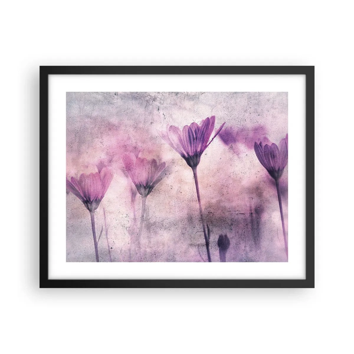 Plakat w czarnej ramie - Sen kwiatów - 50x40 cm