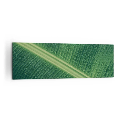 Obraz na płótnie - Zielony liść z kroplami wody na powierzchni - 160x50cm - Struktura zieleni - Nowoczesna dekoracja ścienna do salonu i sypialni ARTTOR
