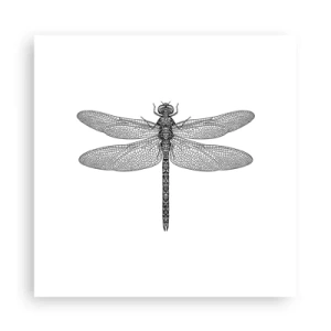 Plakat - Precyzja natury - 30x30 cm