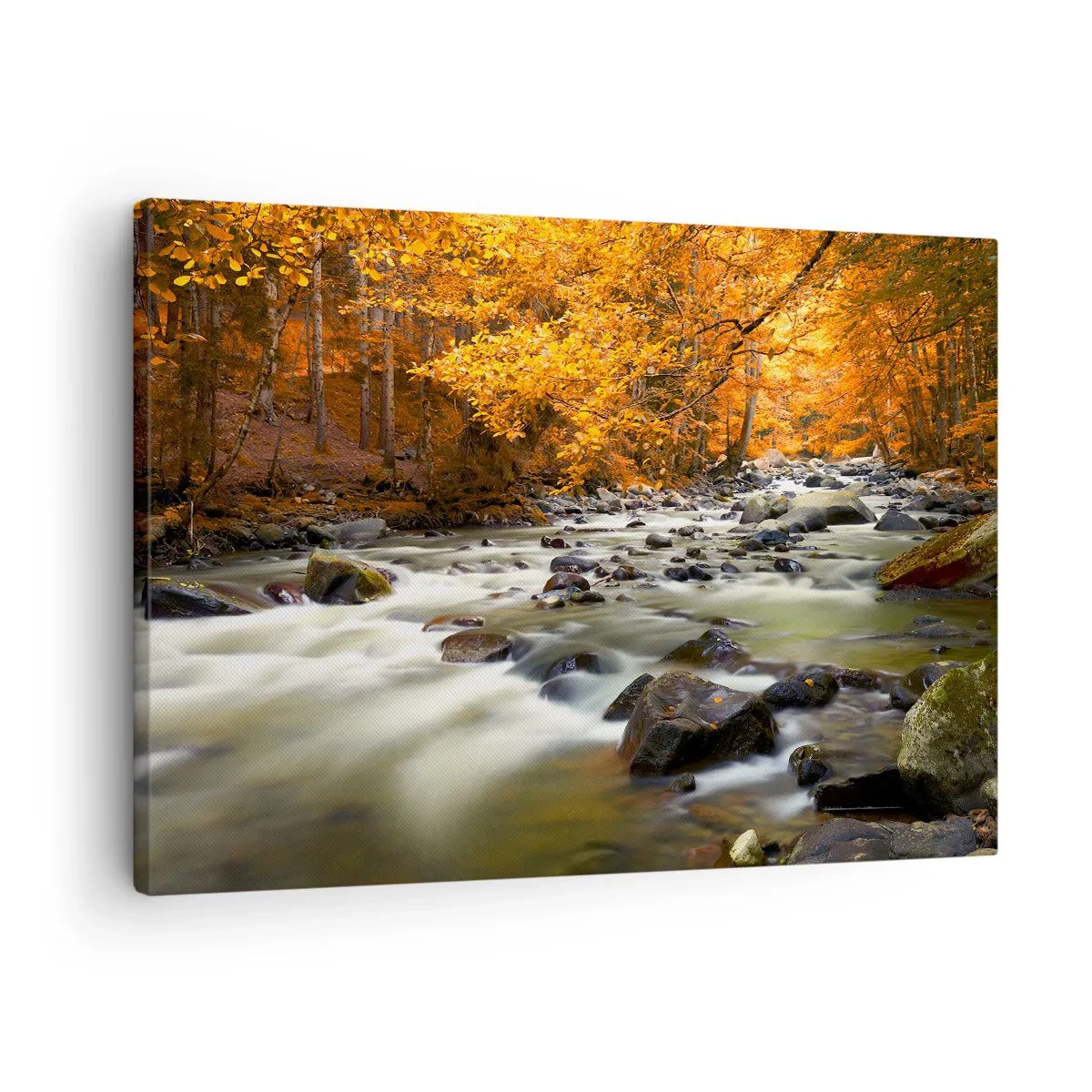 Obraz na płótnie - Strumień w jesiennym lesie otoczony złotymi liśćmi - 70x50cm - Potok w złotym lesie - Nowoczesna dekoracja ścienna do salonu i sypialni ARTTOR