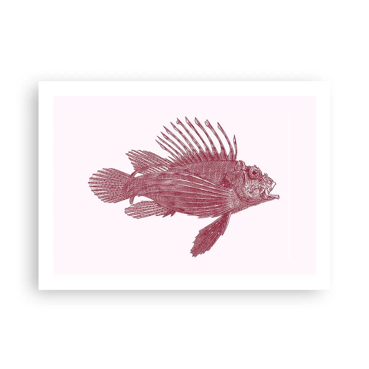 Plakat - Mieszkanka egzotycznych wód - 70x50 cm