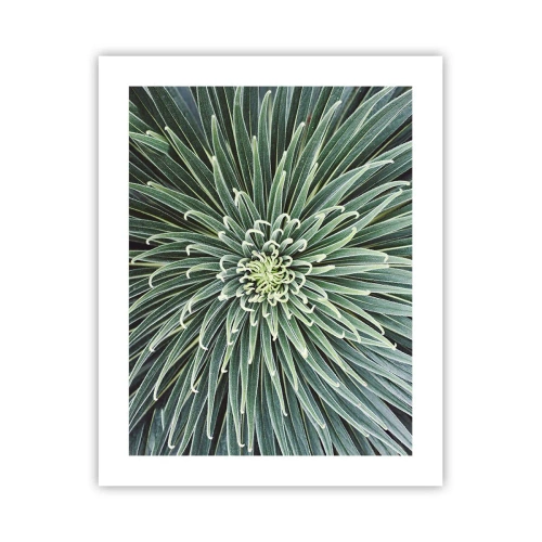 Plakat - Narodziny gwiazdy - 40x50 cm