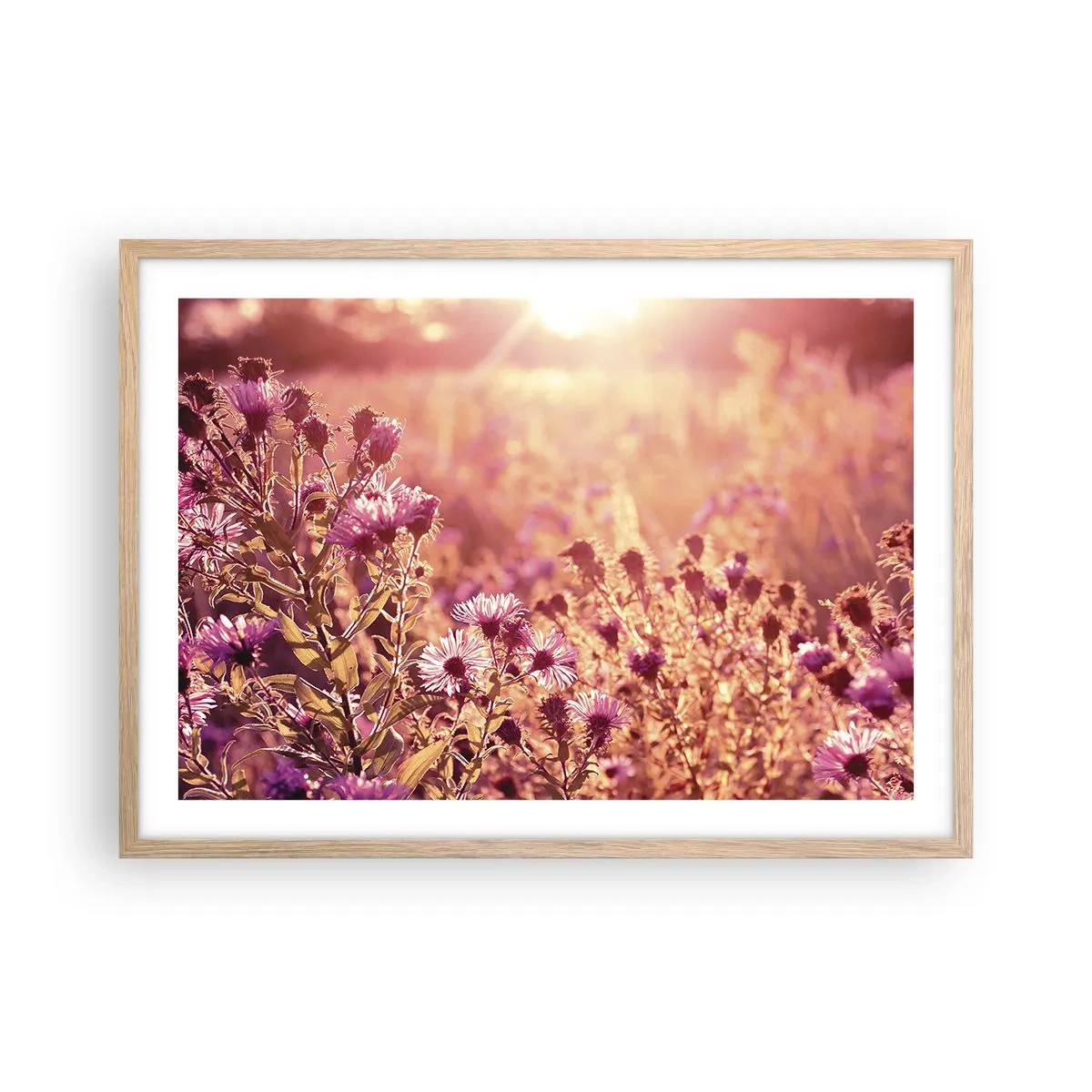 Plakat w ramie jasny dąb - Przed odejściem lata - 70x50 cm