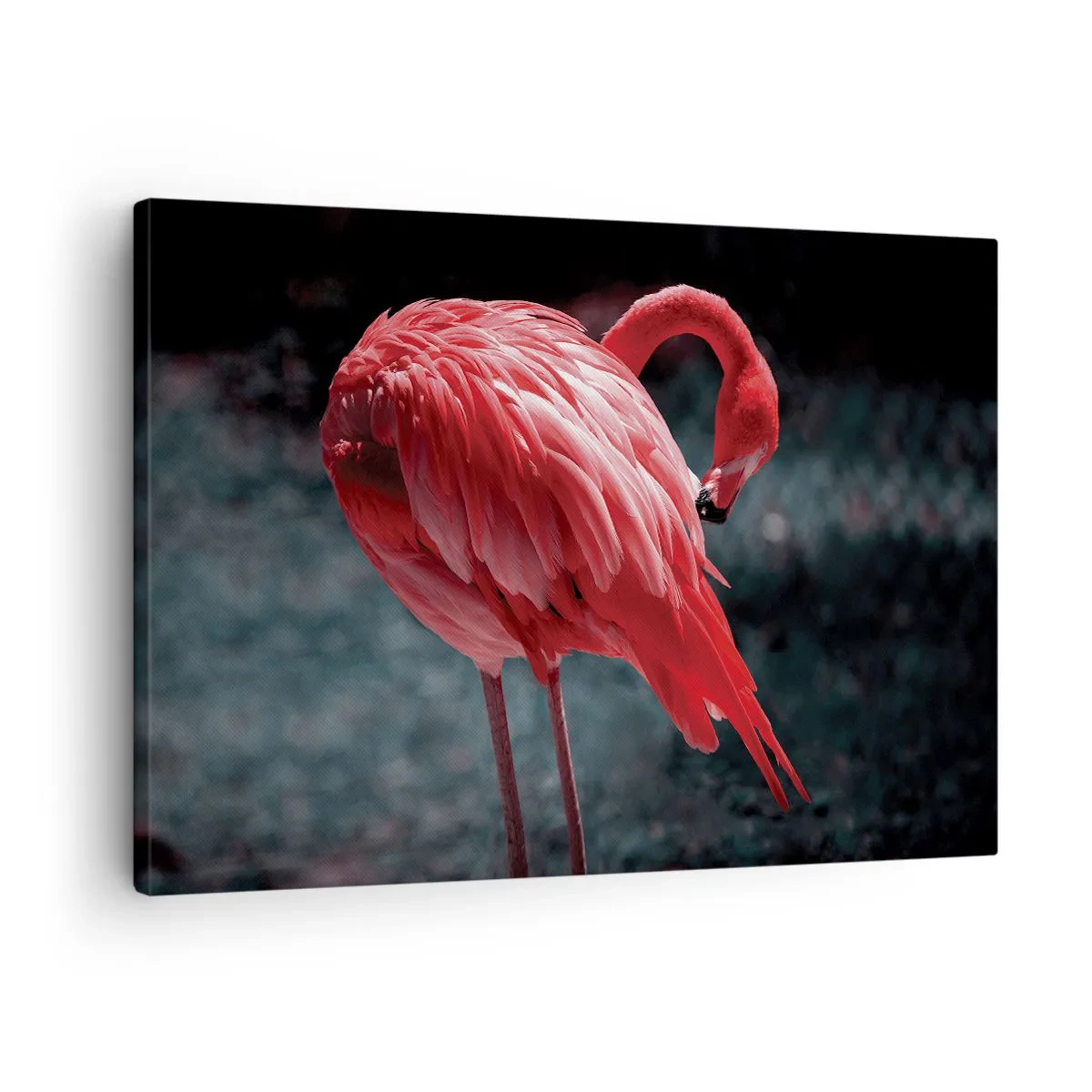 Obraz na płótnie - Różowy flaming na tle ciemnej zieleni - 70x50cm - Karmazynowy poemat natury - Nowoczesna dekoracja ścienna do salonu i sypialni ARTTOR
