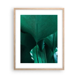 Plakat w ramie jasny dąb - Zwrócone do światła - 40x50 cm