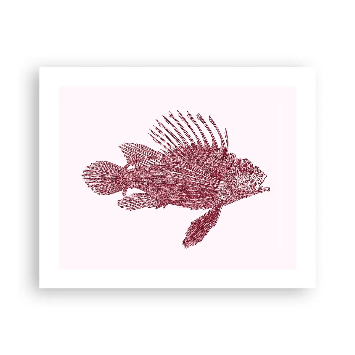 Plakat - Mieszkanka egzotycznych wód - 50x40 cm