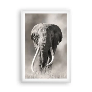 Plakat w białej ramie - Afrykański patriarcha - 61x91 cm