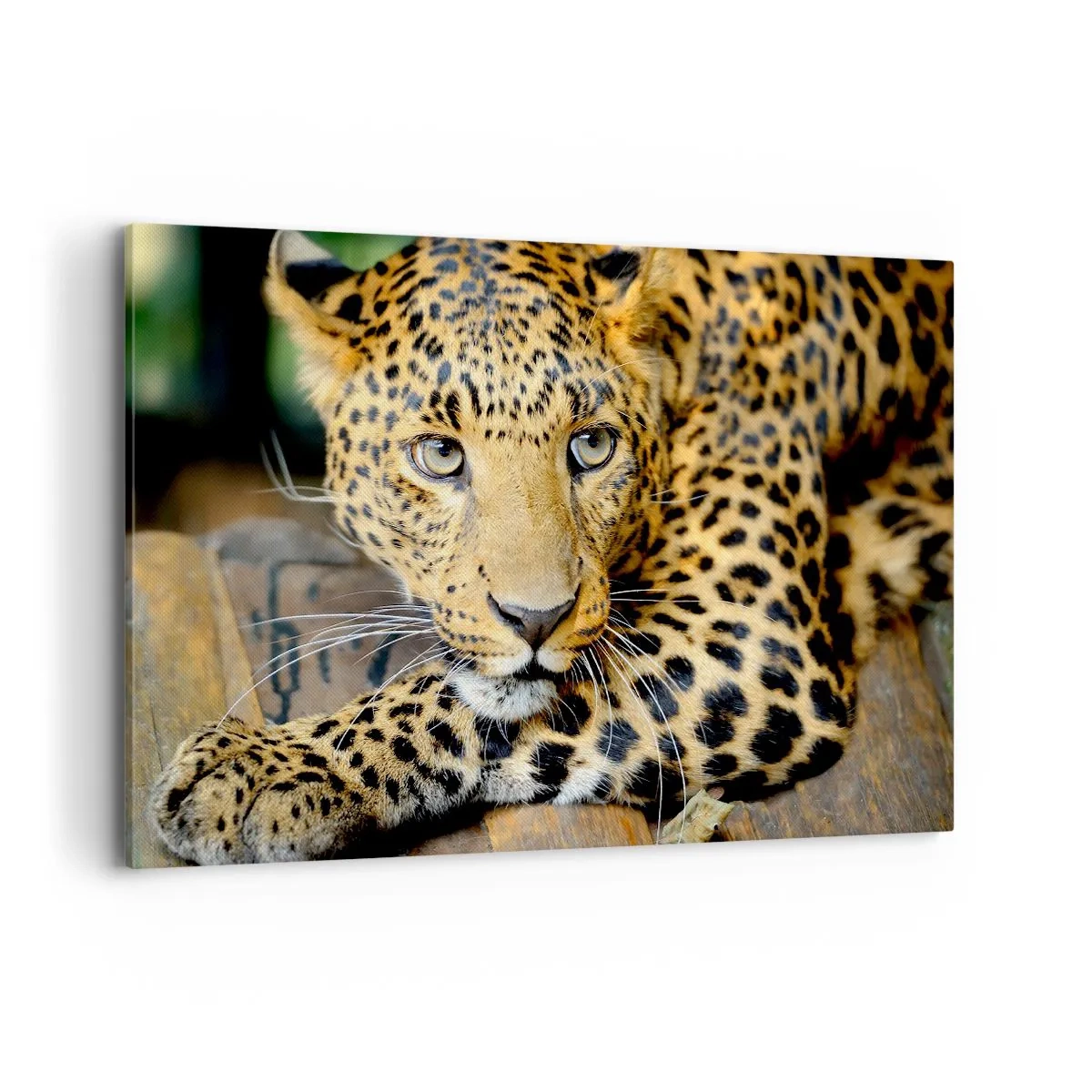 Obraz na płótnie - Portret lamparta w naturalnym otoczeniu - 120x80cm - Nie bój się, podejdź - Nowoczesna dekoracja ścienna do salonu, kuchni i sypialni ARTTOR