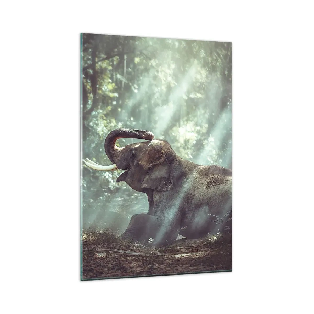 Obraz na szkle - Chłopiec i słoń w leśnej scenerii oświetlonej promieniami słońca - 80x120cm - A posłuchaj tego… - Nowoczesna dekoracja ścienna do salonu i sypialni ARTTOR