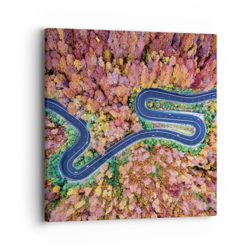 Obraz na płótnie - Krętą drogą poprzez las - 40x40 cm