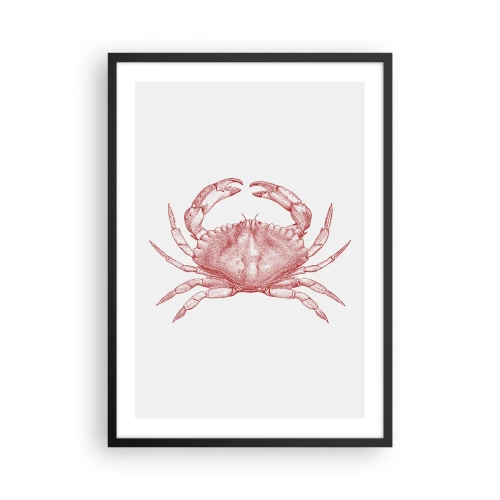 Plakat w czarnej ramie - Rysunek kraba w stylu vintage na jasnym tle - 50x70cm - Krab nad kraby - Nowoczesna dekoracja ścienna do salonu i sypialni ARTTOR