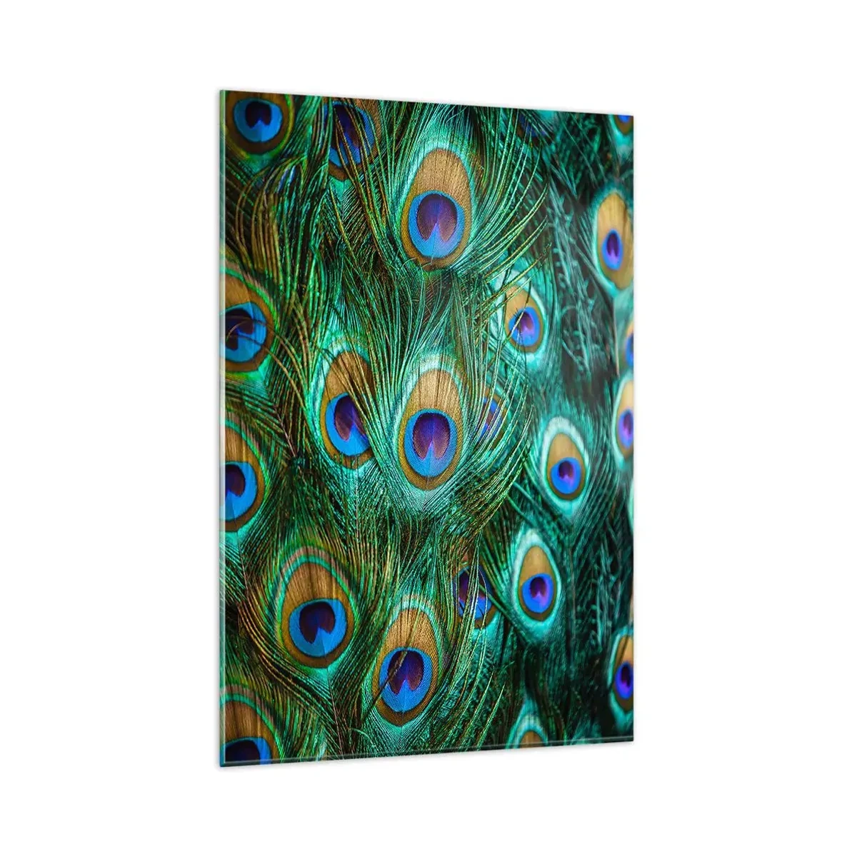 Obraz na szkle - Detale pawich piór w soczystych kolorach - 80x120cm - Pawiookie spojrzenie - Nowoczesna dekoracja ścienna do salonu i sypialni ARTTOR