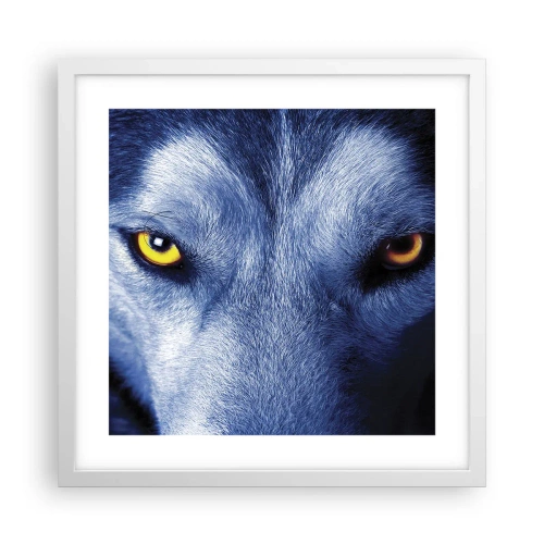 Plakat w białej ramie - Hipnotyzujące spojrzenie - 40x40 cm