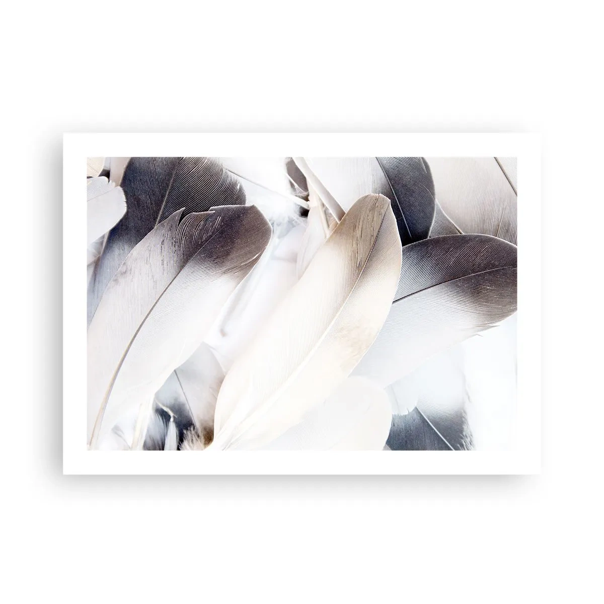 Plakat - Niemal anielskie - 70x50 cm