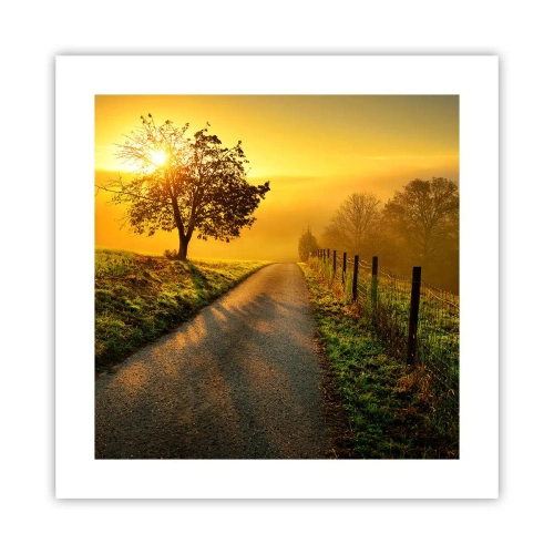 Plakat - Miodne popołudnie - 40x40 cm