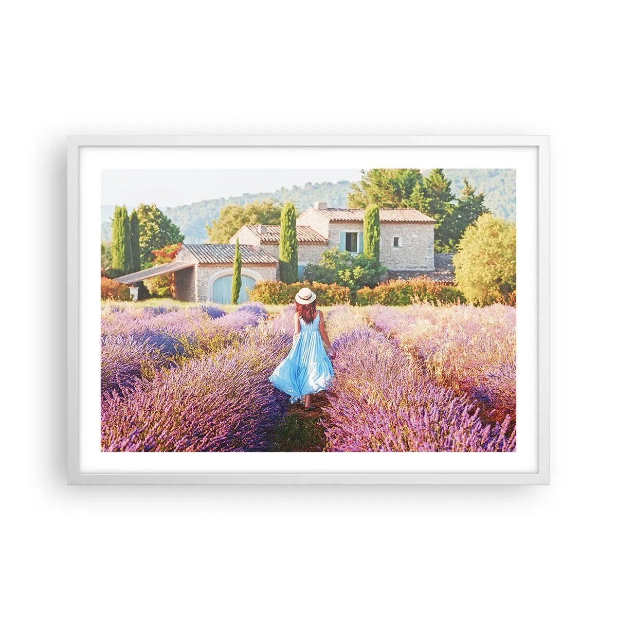 Plakat w białej ramie - Lawendowa dziewczyna - 70x50 cm