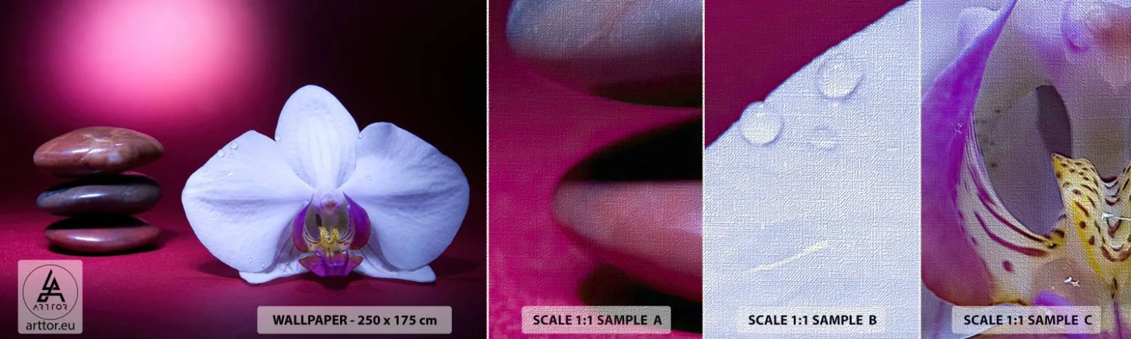 Fototapeta Próbka Premium Canvas - Studium świeżości w fiolecie - Kwiaty, Spa , Kamienie - 100x30 cm