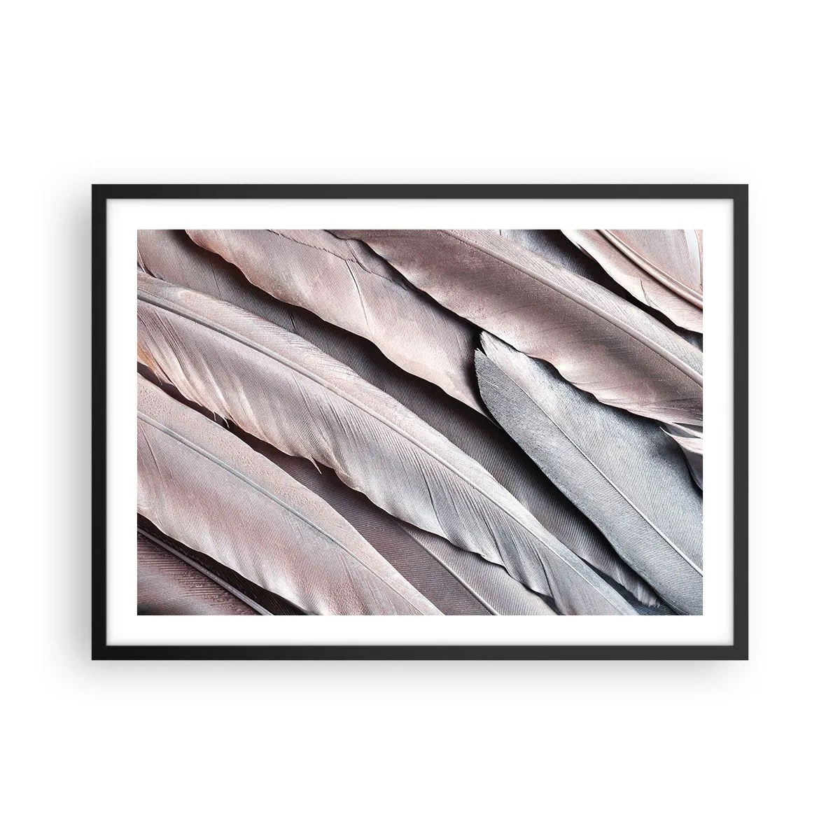 Plakat w czarnej ramie - Delikatne pióra w subtelnych odcieniach szarości i beżu - 70x50cm - W różowej srebrzystości - Nowoczesna dekoracja ścienna do salonu i sypialni ARTTOR