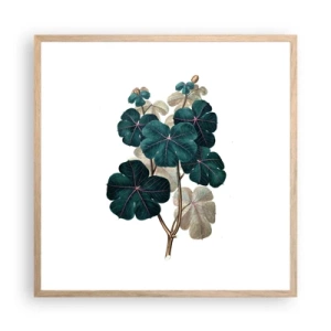 Plakat w ramie jasny dąb - Ze starego zielnika - 60x60 cm