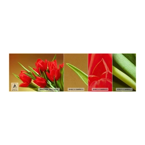 Fototapeta Próbka Premium Sand - Pęk wiosennej radości - Kwiaty, Tulipany, Bukiet Kwiatów - 100x30 cm