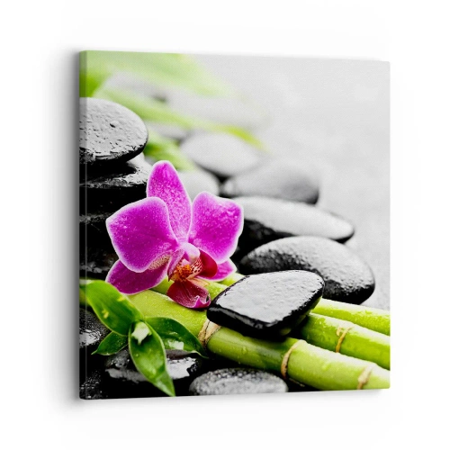 Obraz na płótnie - W spokojnej równowadze - 30x30 cm