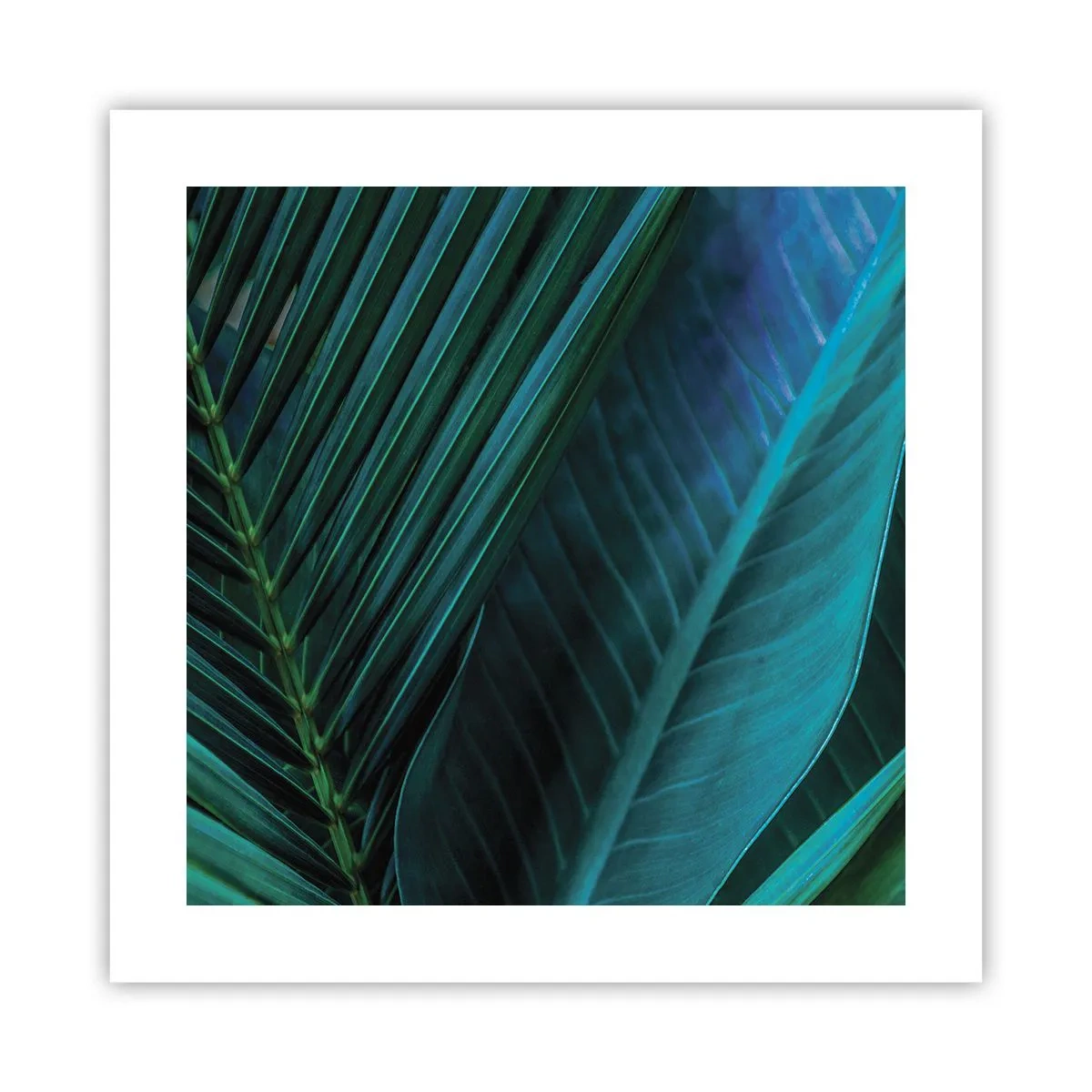 Plakat - Anatomia zieleni - 40x40 cm