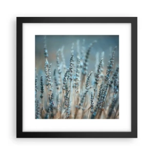 Plakat w czarnej ramie - Pachnący łan - 30x30 cm