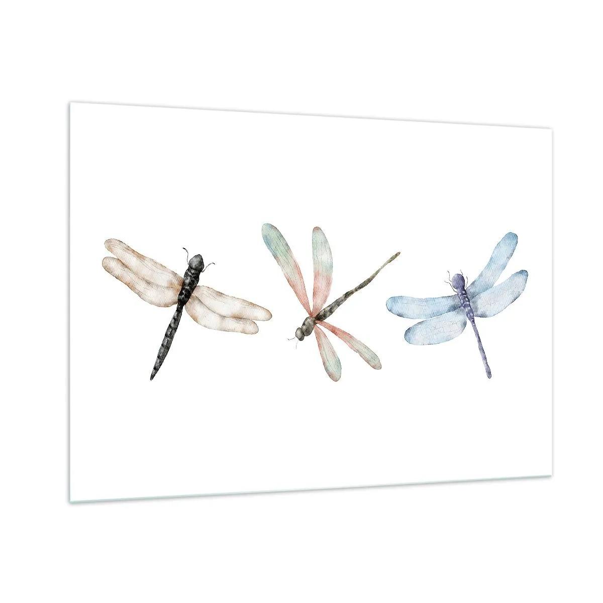 Obraz na szkle - Trzy kolorowe ważki na białym tle w delikatnym stylu akwarelowym - 100x70cm - Ważki nieważkie - Nowoczesna dekoracja ścienna do salonu, kuchni i sypialni ARTTOR