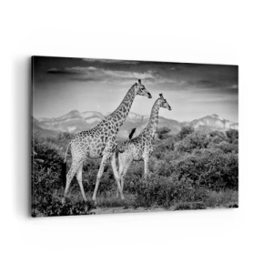 Obraz na płótnie - Czarno-białe sylwetki dwóch żyraf na sawannie - 100x70cm - Wyższe sfery w Afryce - Nowoczesna dekoracja ścienna do salonu, kuchni i sypialni ARTTOR