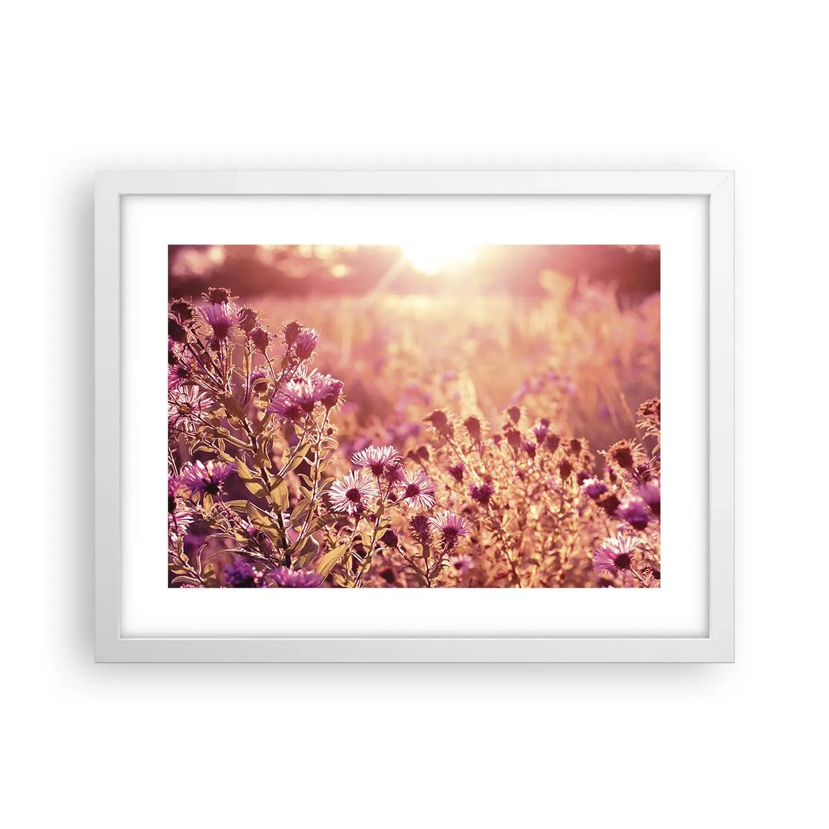 Plakat w białej ramie - Przed odejściem lata - 40x30 cm