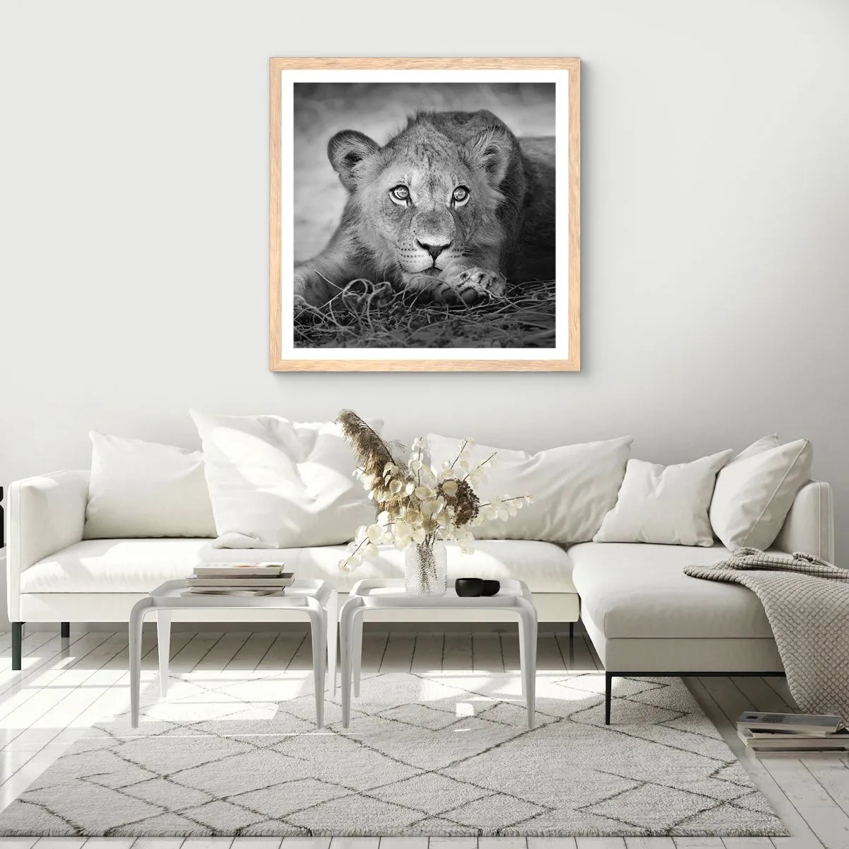 Plakat w ramie jasny dąb - Królewskie szczenię - 40x40 cm