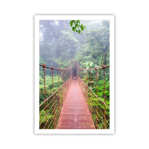 Plakat - Zawieszony nad koronami - 61x91 cm