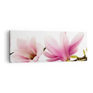 Obraz na płótnie - Delikatne różowe magnolie na białym tle - 140x50cm - Delikatne jak powiew wiosny - Nowoczesna dekoracja ścienna do salonu i sypialni ARTTOR