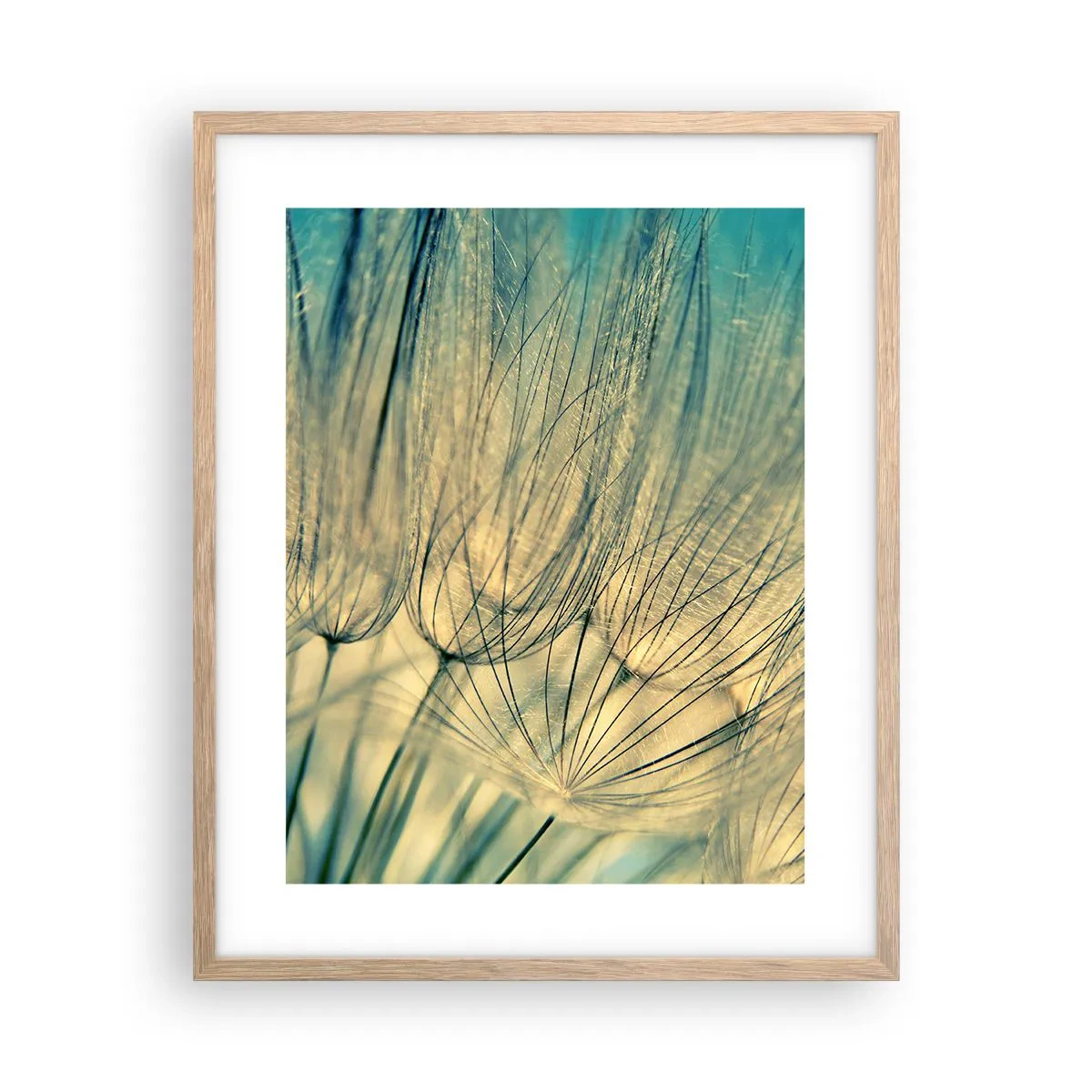 Plakat w ramie jasny dąb - W oczekiwaniu na wiatr - 40x50 cm