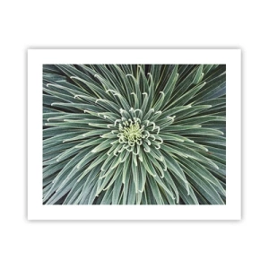 Plakat - Narodziny gwiazdy - 50x40 cm