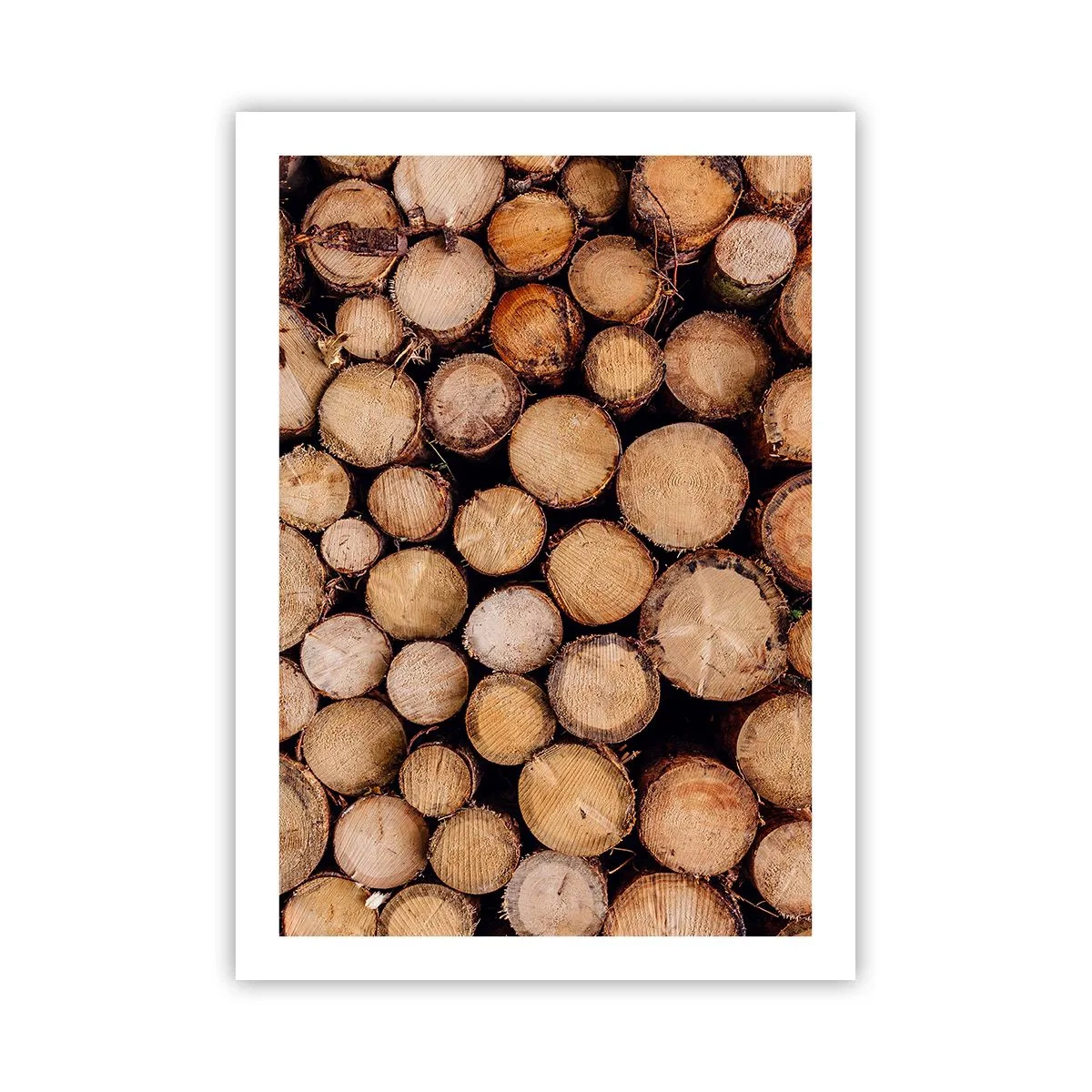 Plakat - Naturalne ścięte pnie drzew w artystycznym układzie - 50x70cm - Nowy początek - Nowoczesna dekoracja ścienna do salonu, kuchni i sypialni ARTTOR