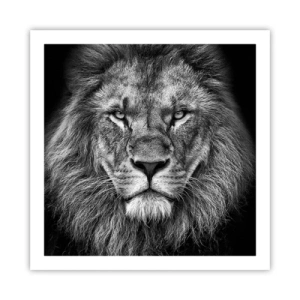 Plakat - W stroju koronacyjnym - 60x60 cm