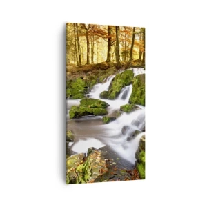 Obraz na płótnie - Bystro przez jesienny las - 55x100 cm