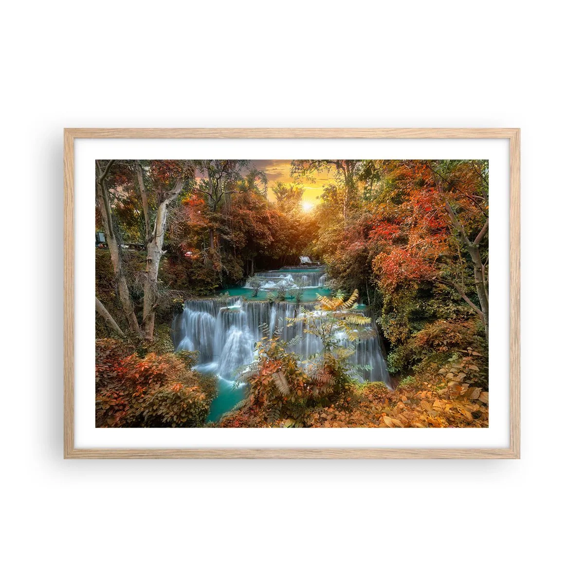 Plakat w ramie jasny dąb - Ukryty skarb lasu - 70x50 cm