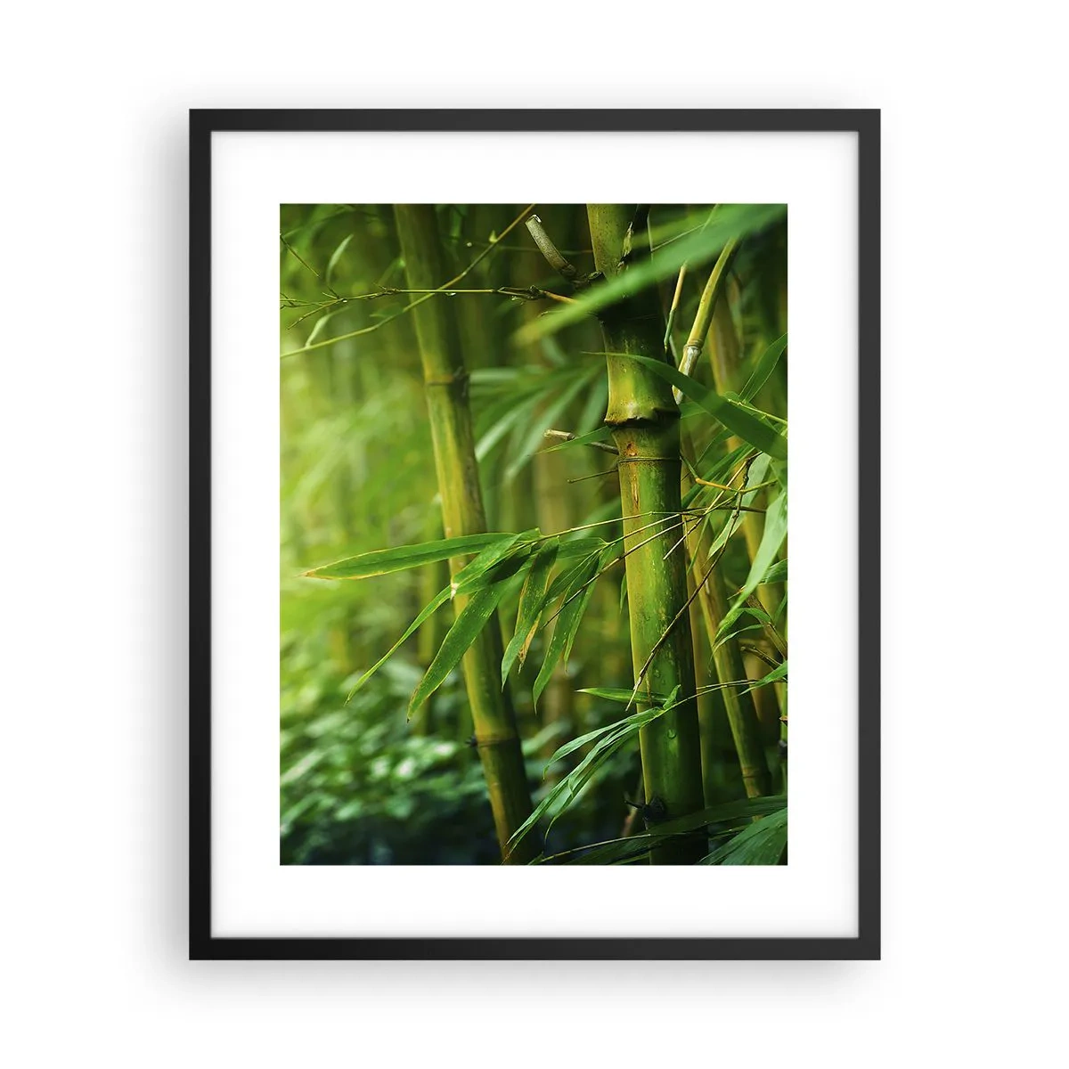 Plakat w czarnej ramie - Poznać zieleń samą w sobie - 40x50 cm