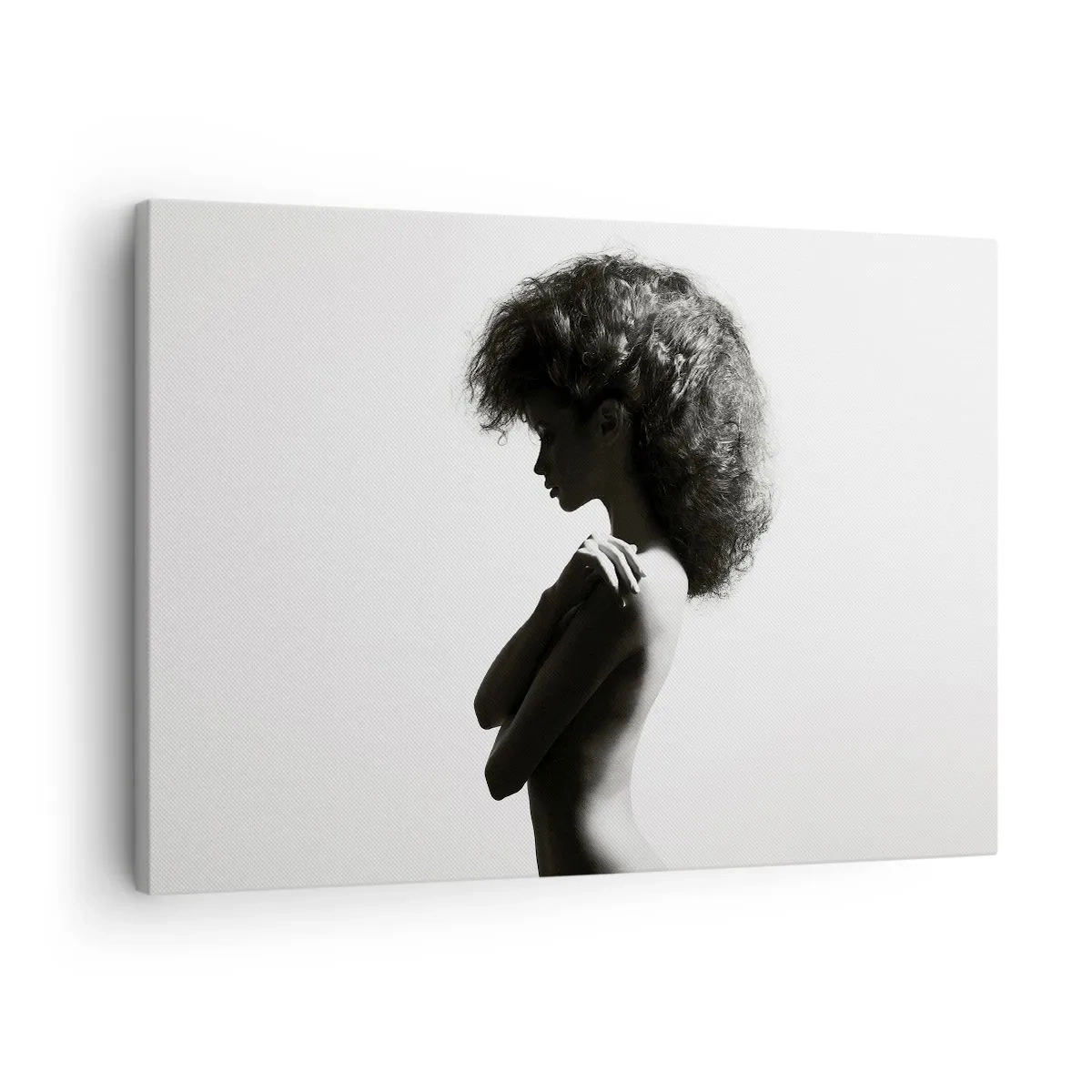 Obraz na płótnie - Subtelna sylwetka kobiety w czarno-białych odcieniach na jasnym tle - 70x50cm - Jak kwiat na smukłej łodydze - Nowoczesna dekoracja ścienna do salonu i sypialni ARTTOR