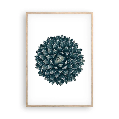 Plakat w ramie jasny dąb - Gwiazda pustyni - 70x100 cm