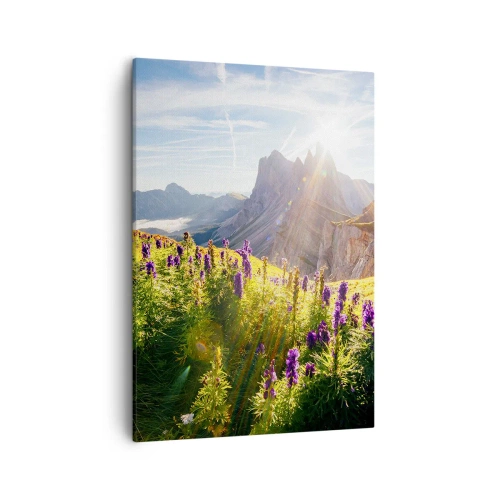 Obraz na płótnie - Górski krajobraz z fioletowymi kwiatami o wschodzie słońca - 50x70cm - Sekretne życie ziół - Nowoczesna dekoracja ścienna do salonu, kuchni i sypialni ARTTOR
